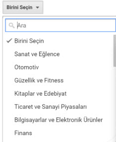google analytics kategoriler