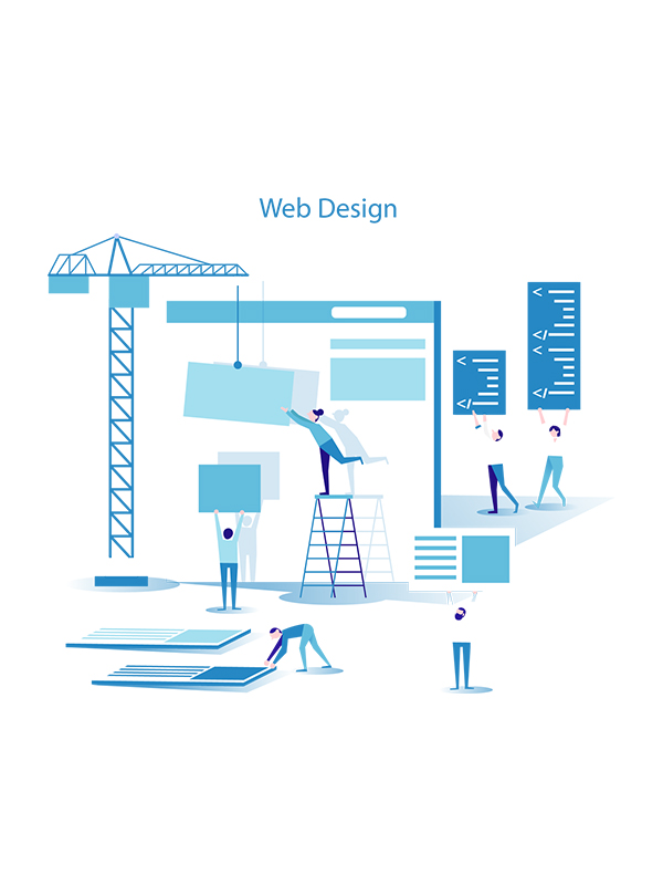 muğla web tasarım
